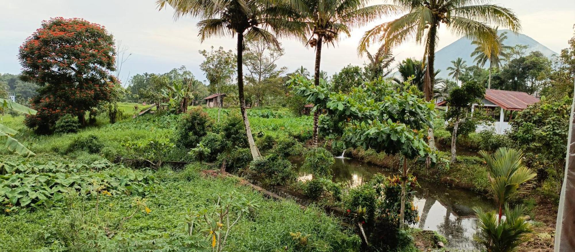Talaga Tomohon Home Stay And Fishing Pond Exterior photo