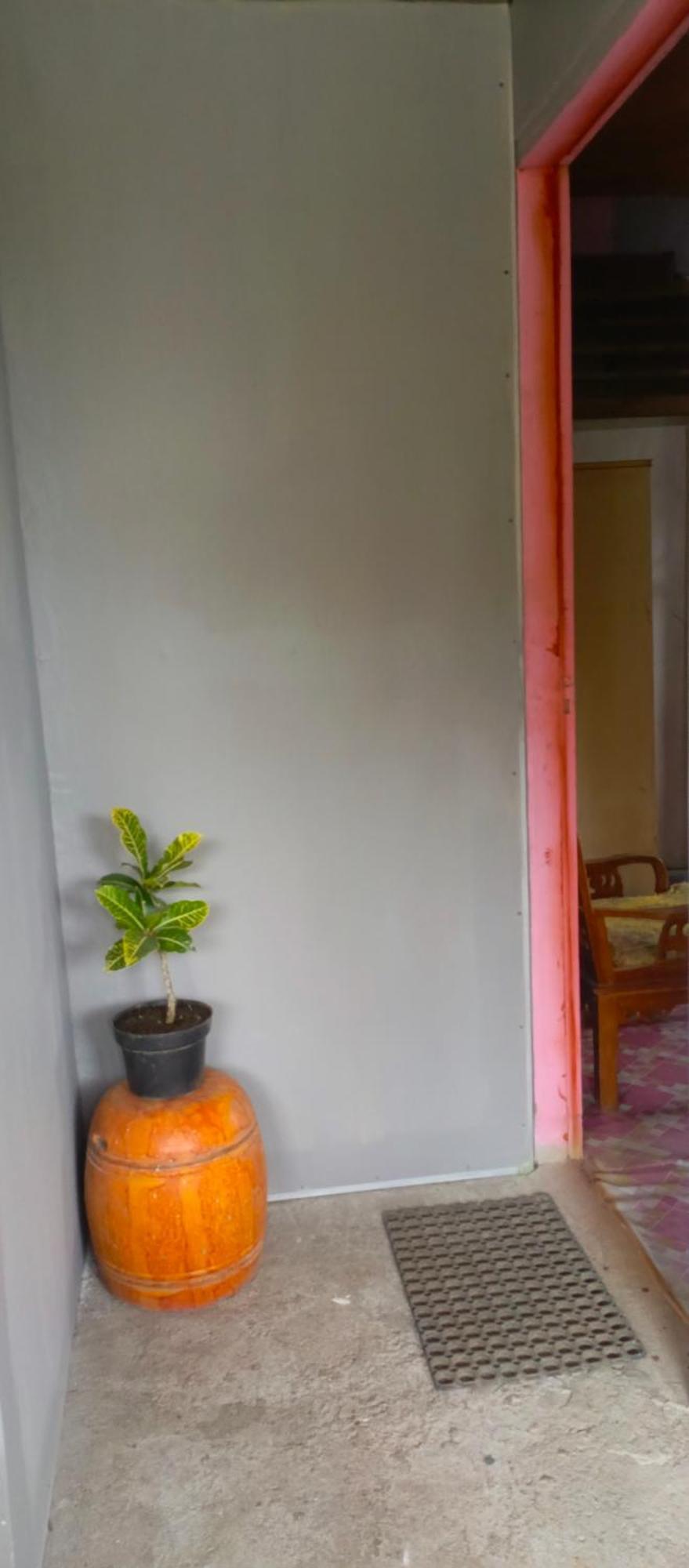 Talaga Tomohon Home Stay And Fishing Pond Exterior photo